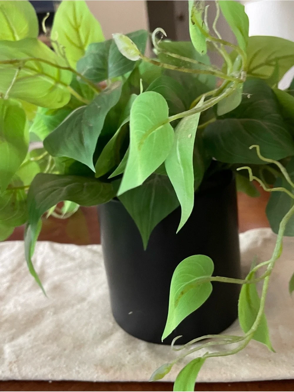 Lifelike Green Faux Plant in Matte Black Planter - Picture 2 of 6